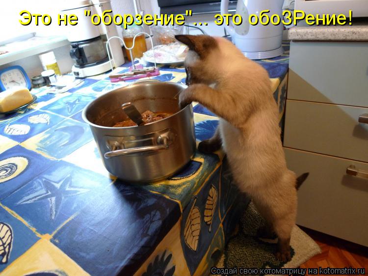 Это не "оборзение"... это обоЗРение!... Котоматрица: Это не "оборзение"... это обоЗРение!