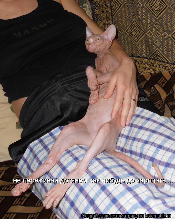 Котоматрица: не переживай дотянем как нибудь до зарплаты....
