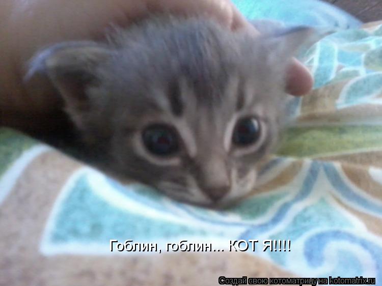 Котоматрица: Гоблин, гоблин... КОТ Я!!!!