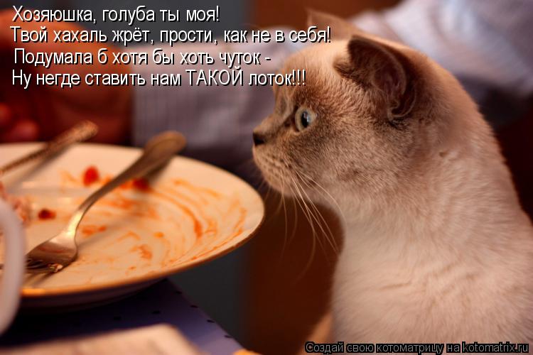 Хозяюшка, голуба ты моя! Твой хахаль жрёт, прости, как не в себя! Подумала б хотя бы хоть чуток - Ну ... Котоматрица: Хозяюшка, голуба ты моя! Твой хахаль жрёт, прости, как не в себя! Подумала б хотя бы хоть чуток - Ну негде ставить нам ТАКОЙ лоток!!!