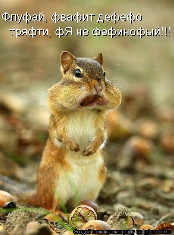 тряфти, фЯ не фефинофый!!! Флуфай, фвафит дефефо... Котоматрица: тряфти, фЯ не фефинофый!!! Флуфай, фвафит дефефо