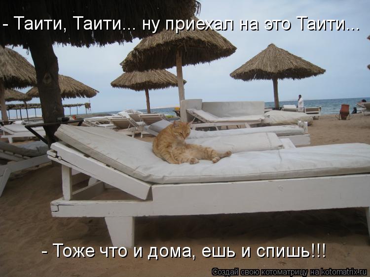 - Тоже что и дома, ешь и спишь!!! - Таити, Таити... ну приехал на это Таити...... Котоматрица: - Тоже что и дома, ешь и спишь!!! - Таити, Таити... ну приехал на это Таити...