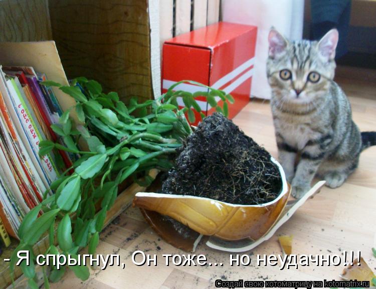 - Я спрыгнул, Он тоже... но неудачно!!!... Котоматрица: - Я спрыгнул, Он тоже... но неудачно!!!