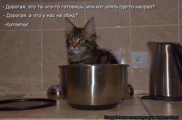 - Дорогая, это ты что-то готовишь, или кот опять где-то насрал? - Дорогая, а что у нас на обед? -Ко... Котоматрица: - Дорогая, это ты что-то готовишь, или кот опять где-то насрал? - Дорогая, а что у нас на обед? -Котлетки!
