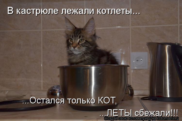 Котоматрица: В кастрюле лежали котлеты... ...Остался только КОТ,   ...ЛЕТЫ сбежали!!!