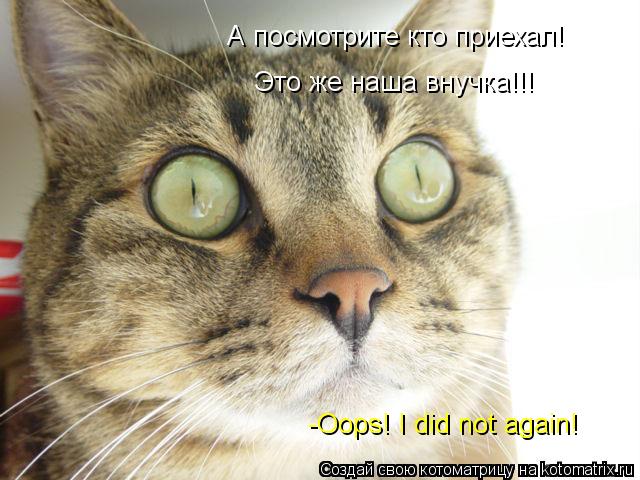 А посмотрите кто приехал! Это же наша внучка!!! -Oops! I did not again!... Котоматрица: А посмотрите кто приехал! Это же наша внучка!!! -Oops! I did not again!