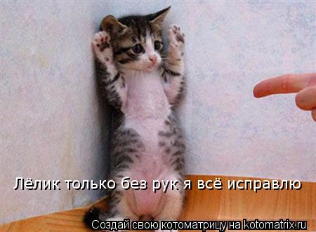 Лёлик только без рук я всё исправлю... Котоматрица: Лёлик только без рук я всё исправлю