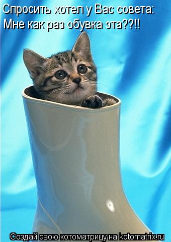 Котоматрица: Спросить хотел у Вас совета: Мне как раз обувка эта??!!