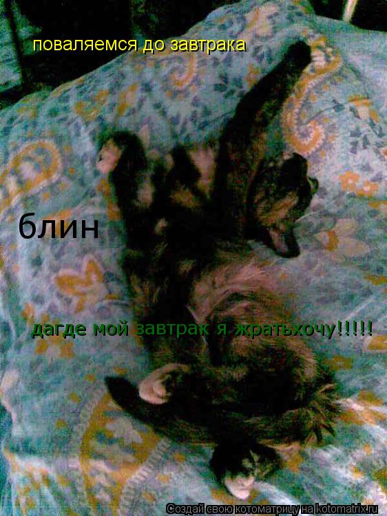 Котоматрица: поваляемся до завтрака блин дагде мой завтрак я жратьхочу!!!!!