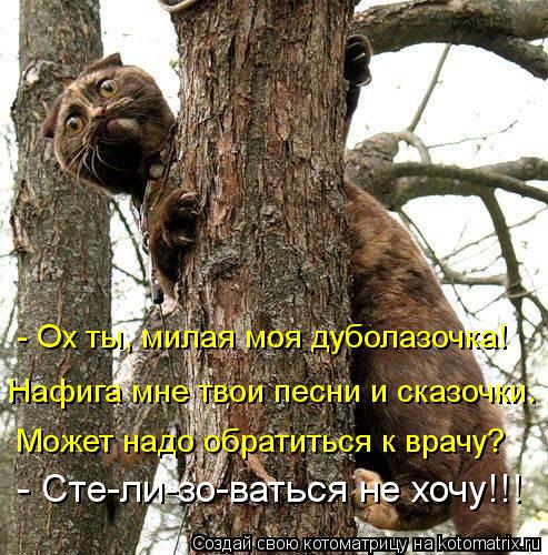 Котоматрица: - Сте-ли-зо-ваться не хочу!!! - Ох ты, милая моя дуболазочка! Нафига мне твои песни и сказочки. Может надо обратиться к врачу?