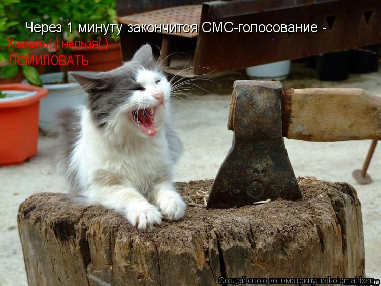 Через 1 минуту закончится СМС-голосование - Казнить(,) нельзя(,) ПОМИЛОВАТЬ... Котоматрица: Через 1 минуту закончится СМС-голосование - Казнить(,) нельзя(,) ПОМИЛОВАТЬ
