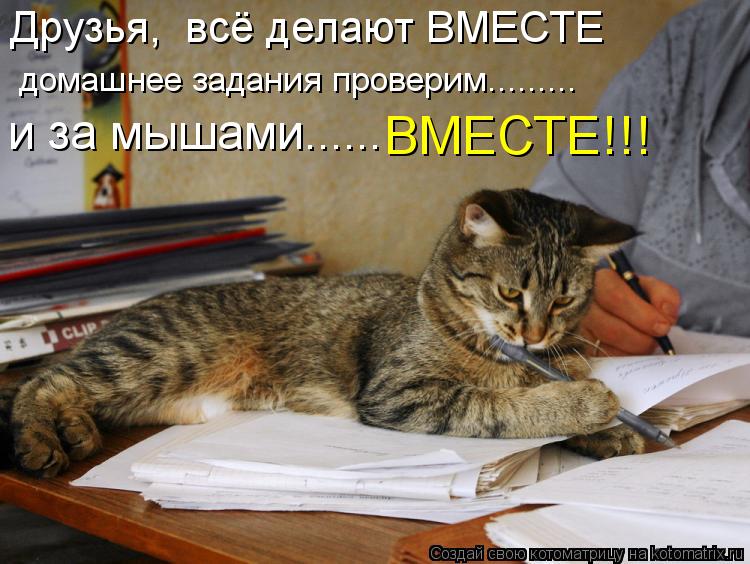 Друзья, всё делают ВМЕСТЕ домашнее задания проверим......... и за мышами...... ВМЕСТЕ!!!... Котоматрица: Друзья, всё делают ВМЕСТЕ домашнее задания проверим......... и за мышами...... ВМЕСТЕ!!!