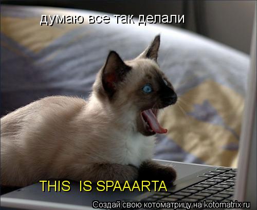 думаю все так делали THIS IS SPAAARTA... Котоматрица: думаю все так делали THIS IS SPAAARTA