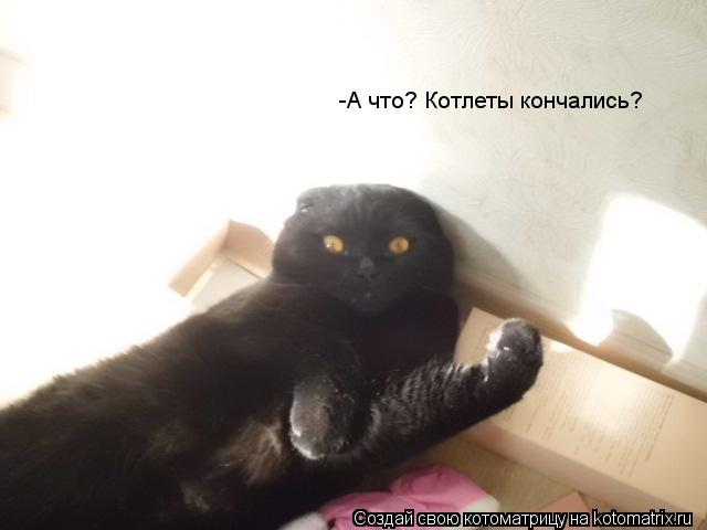 -А что? Котлеты кончались?... Котоматрица: -А что? Котлеты кончались?