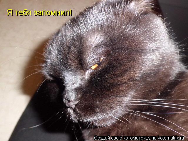 Я тебя запомнил!... Котоматрица: Я тебя запомнил!