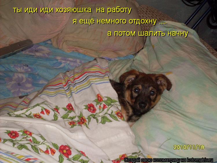 ты иди иди хозяюшка на работу я ещё немного отдохну ... ... а потом шалить начну... Котоматрица: ты иди иди хозяюшка на работу я ещё немного отдохну ... ... а потом шалить начну