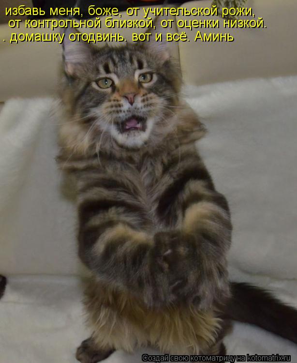 избавь меня, боже, от учительской рожи, от контрольной близкой, от оценки низкой. домашку отодвинь. в... Котоматрица: избавь меня, боже, от учительской рожи, от контрольной близкой, от оценки низкой. домашку отодвинь. вот и всё. Аминь избавь меня, боже, от учит