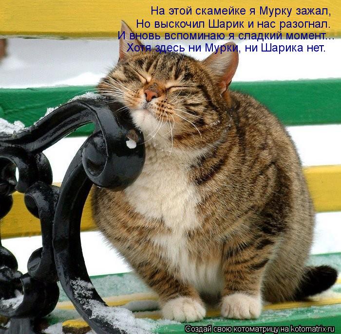 На этой скамейке я Мурку зажал, Но выскочил Шарик и нас разогнал. И вновь вспоминаю я сладкий момент.... Котоматрица: На этой скамейке я Мурку зажал, Но выскочил Шарик и нас разогнал. И вновь вспоминаю я сладкий момент... Хотя здесь ни Мурки, ни Шарика нет.