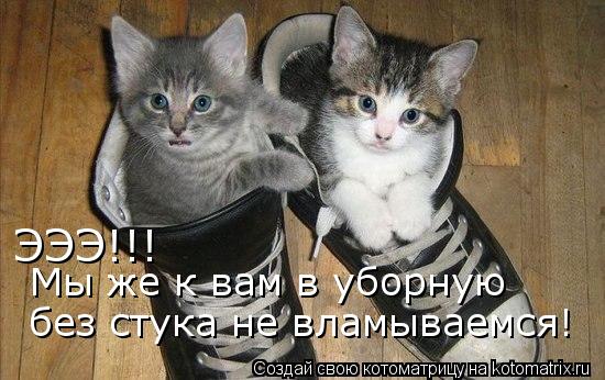 ЭЭЭ!!! Мы же к вам в уборную без стука не вламываемся!... Котоматрица: ЭЭЭ!!! Мы же к вам в уборную без стука не вламываемся!
