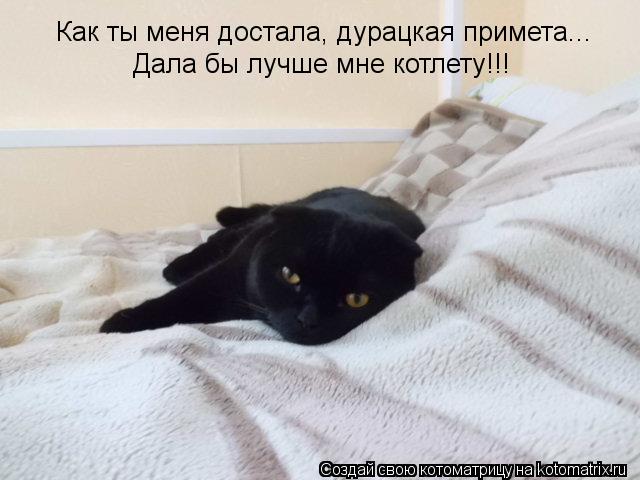 Как ты меня достала, дурацкая примета... Дала бы лучше мне котлету!!!... Котоматрица: Как ты меня достала, дурацкая примета... Дала бы лучше мне котлету!!!