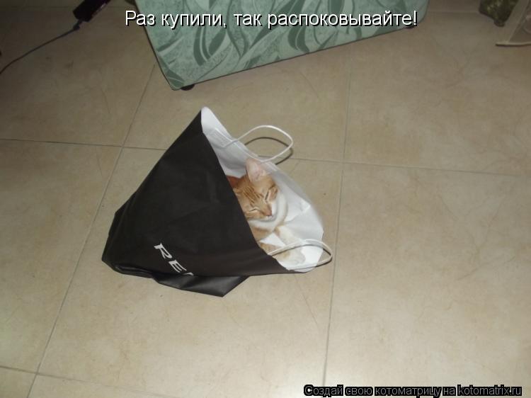 Раз купили, так распоковывайте!... Котоматрица: Раз купили, так распоковывайте!