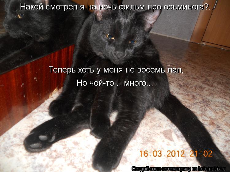 Котоматрица: Накой смотрел я на ночь фильм про осьминога?.. Теперь хоть у меня не восемь лап, Но чой-то... много...