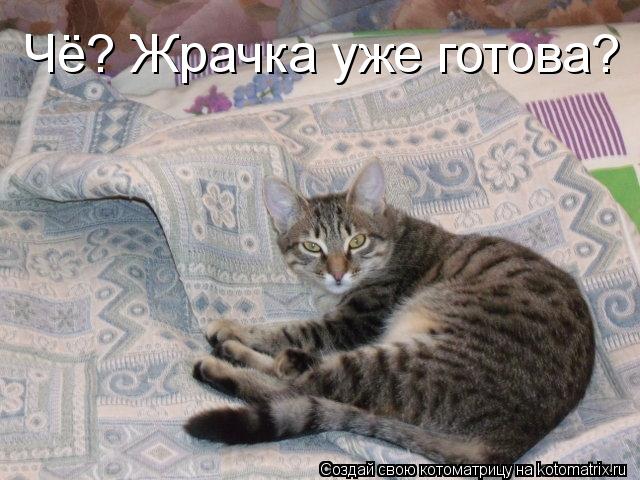 Чё? Жрачка уже готова?... Котоматрица: Чё? Жрачка уже готова?