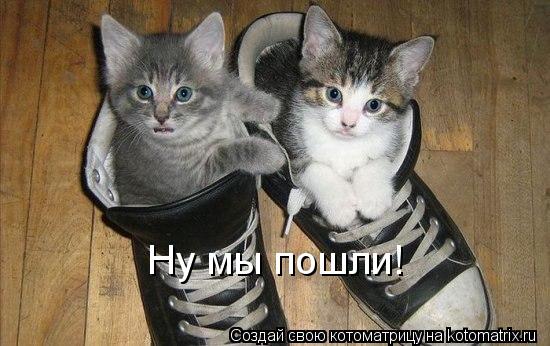 Котоматрица: Ну мы пошли!