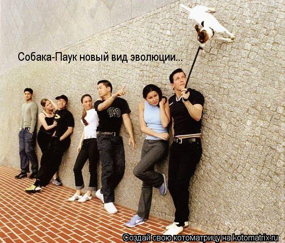 Собака-Паук новый вид эволюции... Собака-Паук новый вид эволюции...... Котоматрица: Собака-Паук новый вид эволюции... Собака-Паук новый вид эволюции...