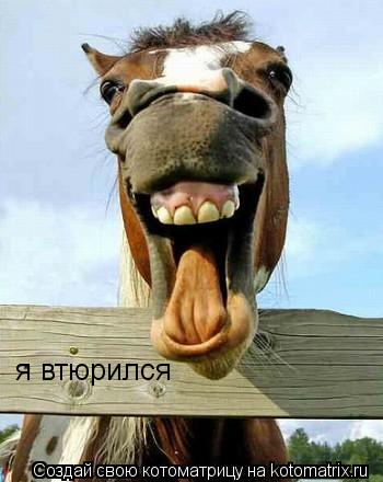 я втюрился... Котоматрица: я втюрился