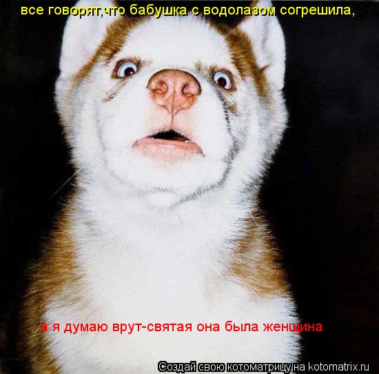 все говорят,что бабушка с водолазом согрешила, а я думаю врут-святая она была женщина... Котоматрица: все говорят,что бабушка с водолазом согрешила, а я думаю врут-святая она была женщина