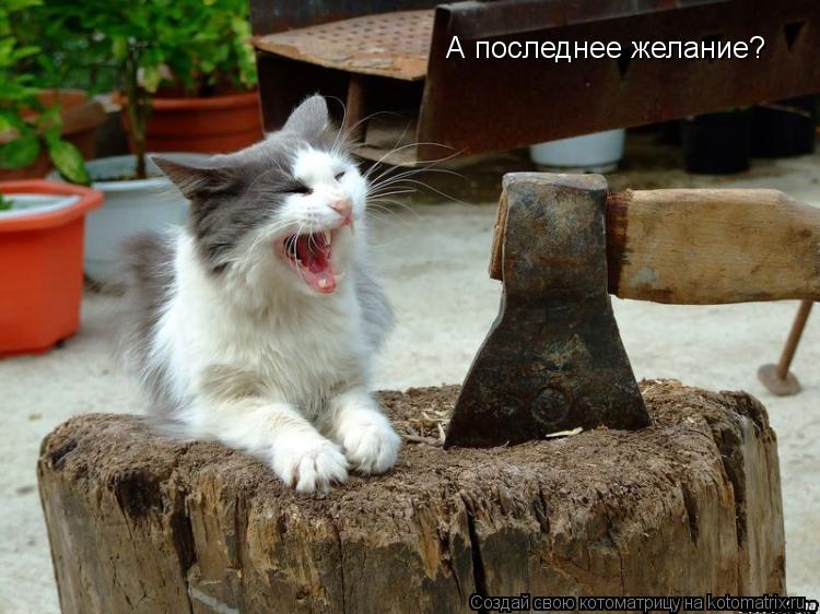 Котоматрица: А последнее желание?