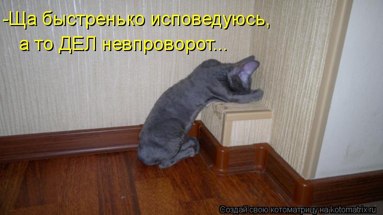 Котоматрица: -Ща быстренько исповедуюсь,  а то ДЕЛ невпроворот...