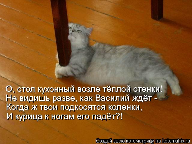 О, стол кухонный возле тёплой стенки! Не видишь разве, как Василий ждёт - Когда ж твои подкосятся кол... Котоматрица: О, стол кухонный возле тёплой стенки! Не видишь разве, как Василий ждёт - Когда ж твои подкосятся коленки, И курица к ногам его падёт?!