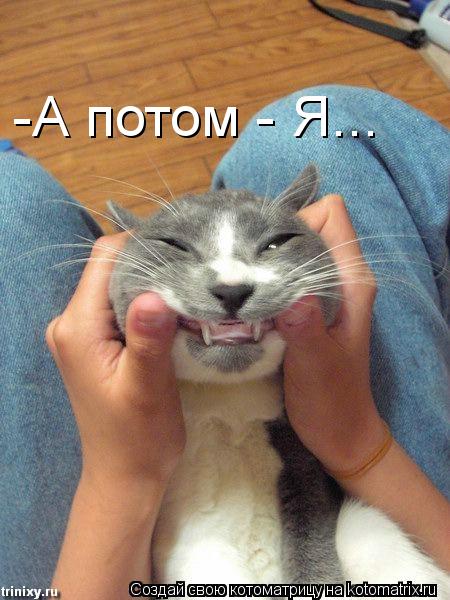 Котоматрица: -А потом - Я...