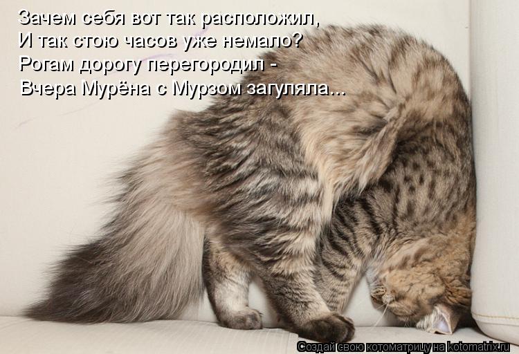 Котоматрица: Зачем себя вот так расположил,  И так стою часов уже немало?  Рогам дорогу перегородил -  Вчера Мурёна с Мурзом загуляла...