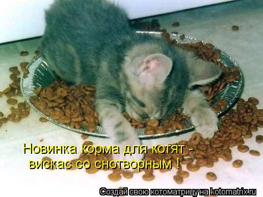 Котоматрица: Новинка корма для котят -  вискас со снотворным !
