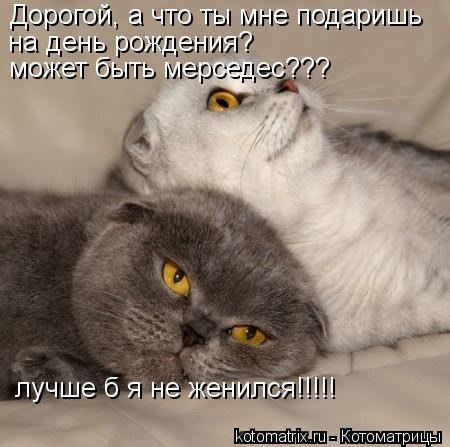Дорогой, а что ты мне подаришь на день рождения? может быть мерседес??? лучше б я не женился!!!!!... Котоматрица: Дорогой, а что ты мне подаришь на день рождения? может быть мерседес??? лучше б я не женился!!!!!