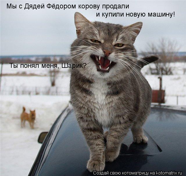 Мы с Дядей Фёдором корову продали и купили новую машину! Ты понял меня, Шарик?... Котоматрица: Мы с Дядей Фёдором корову продали и купили новую машину! Ты понял меня, Шарик?