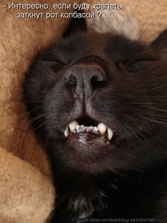 - Интересно, если буду храпеть, заткнут рот колбасой ?....... Котоматрица: - Интересно, если буду храпеть, заткнут рот колбасой ?....