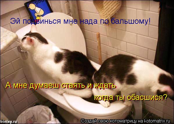 Эй подвинься мне нада по бальшому! А мне думаеш стаять и ждать А мне думаеш стаять и ждать когда ты... Котоматрица: Эй подвинься мне нада по бальшому! А мне думаеш стаять и ждать А мне думаеш стаять и ждать когда ты обасшися когда ты обасшися?