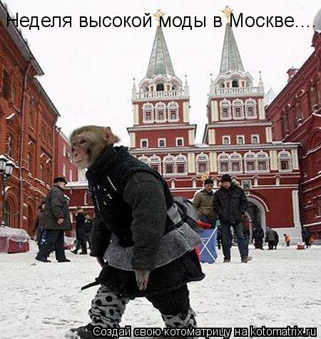 Неделя высокой моды в Москве....... Котоматрица: Неделя высокой моды в Москве....