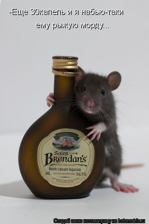 -Еще 30капель и я набью-таки ему рыжую морду...... Котоматрица: -Еще 30капель и я набью-таки ему рыжую морду...
