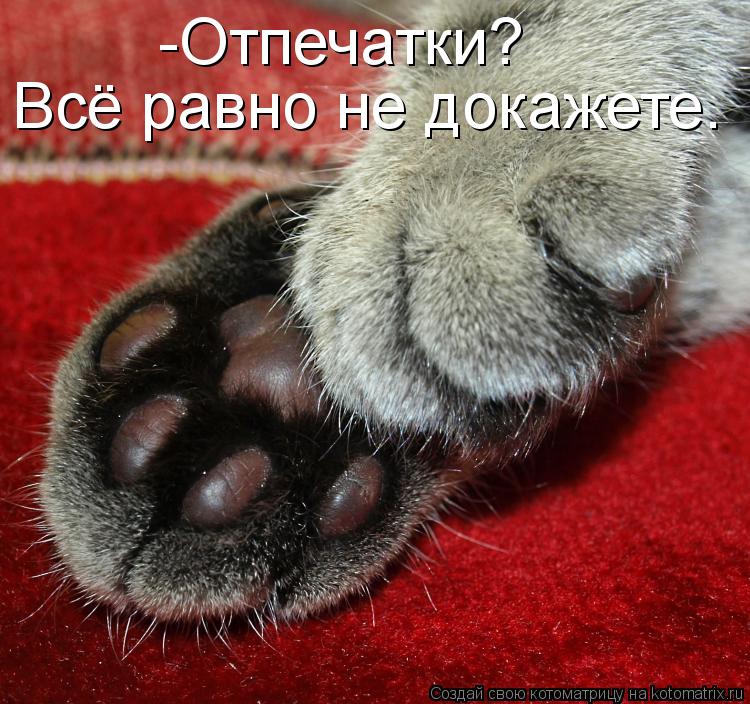 Котоматрица: -Отпечатки? Всё равно не докажете.