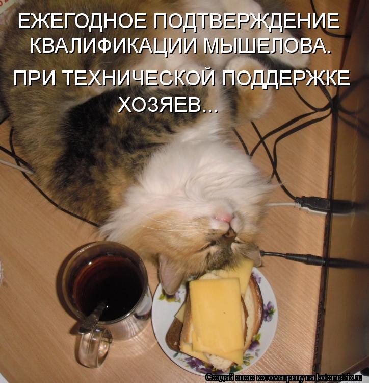 ЕЖЕГОДНОЕ ПОДТВЕРЖДЕНИЕ КВАЛИФИКАЦИИ МЫШЕЛОВА. ПРИ ТЕХНИЧЕСКОЙ ПОДДЕРЖКЕ ХОЗЯЕВ...... Котоматрица: ЕЖЕГОДНОЕ ПОДТВЕРЖДЕНИЕ КВАЛИФИКАЦИИ МЫШЕЛОВА. ПРИ ТЕХНИЧЕСКОЙ ПОДДЕРЖКЕ ХОЗЯЕВ...