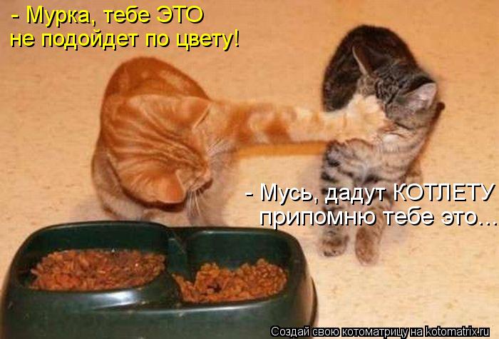 - Мурка, тебе ЭТО не подойдет по цвету! - Мусь, дадут КОТЛЕТУ припомню тебе это...... Котоматрица: - Мурка, тебе ЭТО не подойдет по цвету! - Мусь, дадут КОТЛЕТУ припомню тебе это...