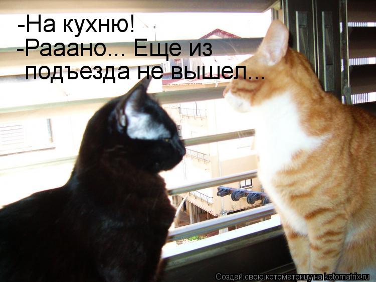 -На кухню! -Рааано... Еще из подъезда не вышел...... Котоматрица: -На кухню! -Рааано... Еще из подъезда не вышел...