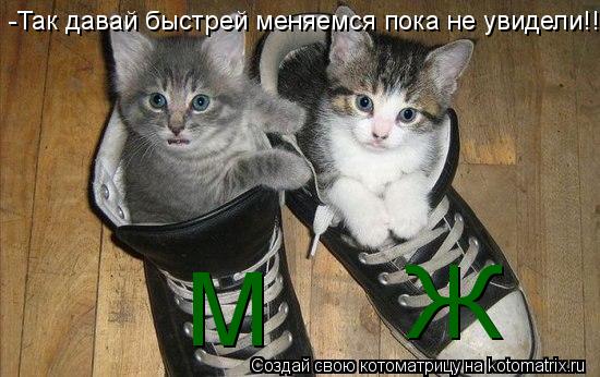 Котоматрица: М Ж -Так давай быстрей меняемся пока не увидели!!