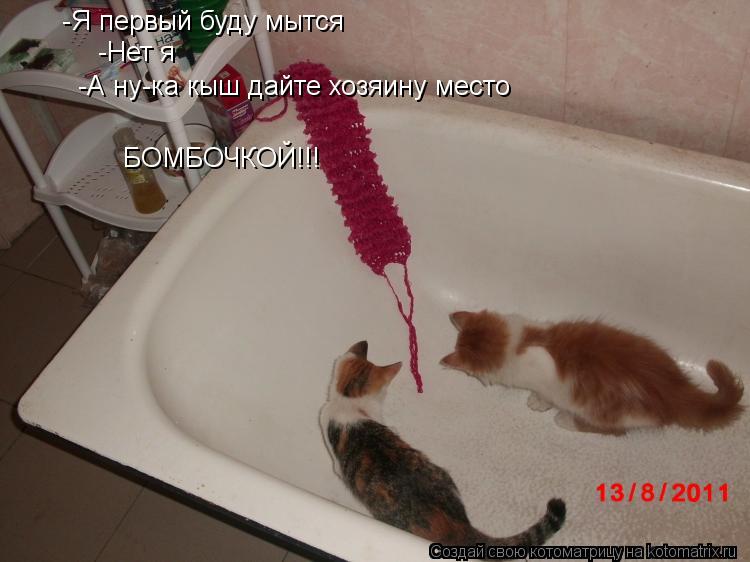 Котоматрица: -Я первый буду мытся -Нет я -А ну-ка кыш дайте хозяину место БОМБОЧКОЙ!!!