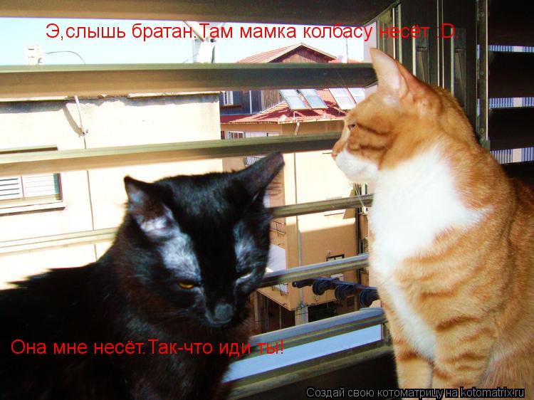 Котоматрица: Э,слышь братан.Там мамка колбасу несёт :D. Она мне несёт.Так-что иди ты!